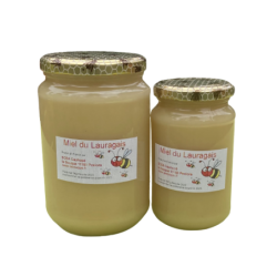 Miel toutes fleurs produit par notre rucher au Domaine de la Souque.