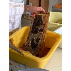 Miel du Lauragais 500g